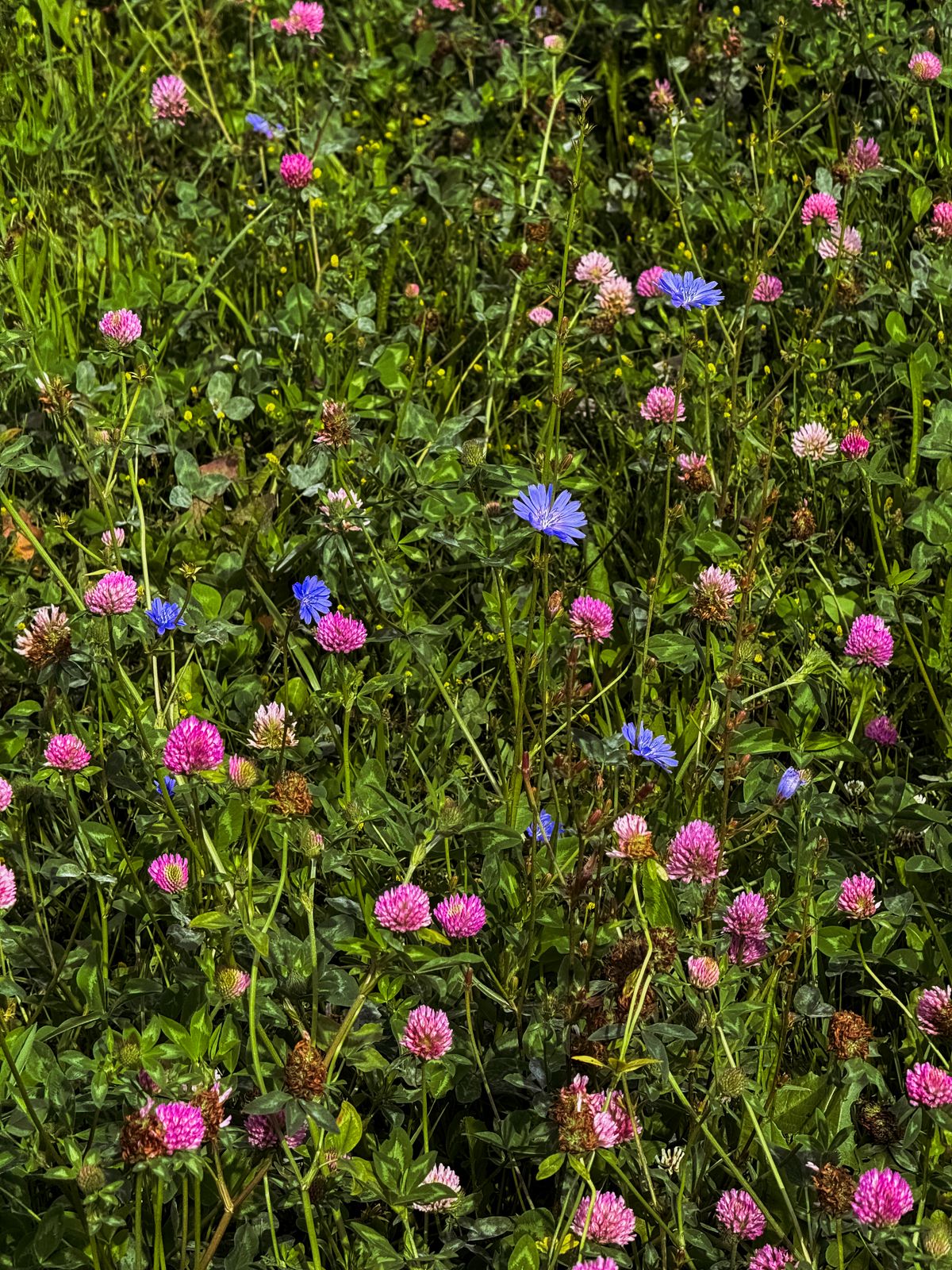Spring Appeal 2026
